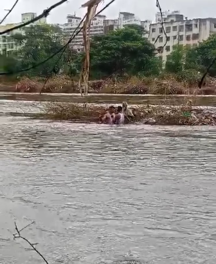 अग्निशमन दलाची चमकदार कामगिरी; दोघांना जीवदान, दोघांची